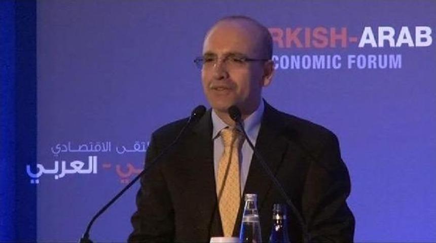 Bakan Şimşek: T&uuml;rkiye'de Bir K&uuml;rt Sorunu Vardır