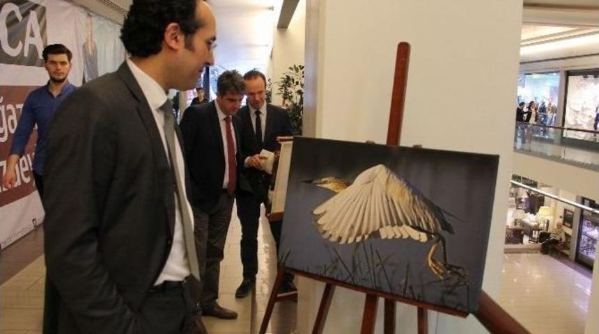 Doğa Fotoğraflarının Geliri Onkoloji Hastalarına Bağışlanacak