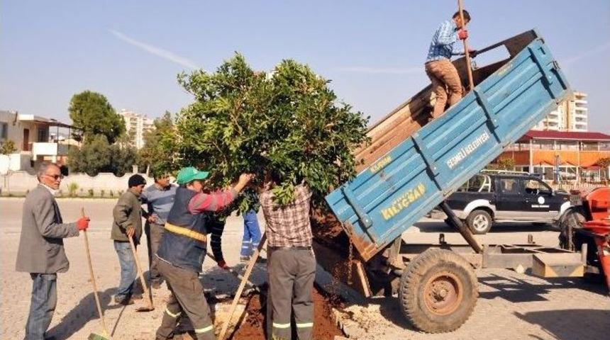 Erdemli&rsquo;de Parklara Bahar Bakımı