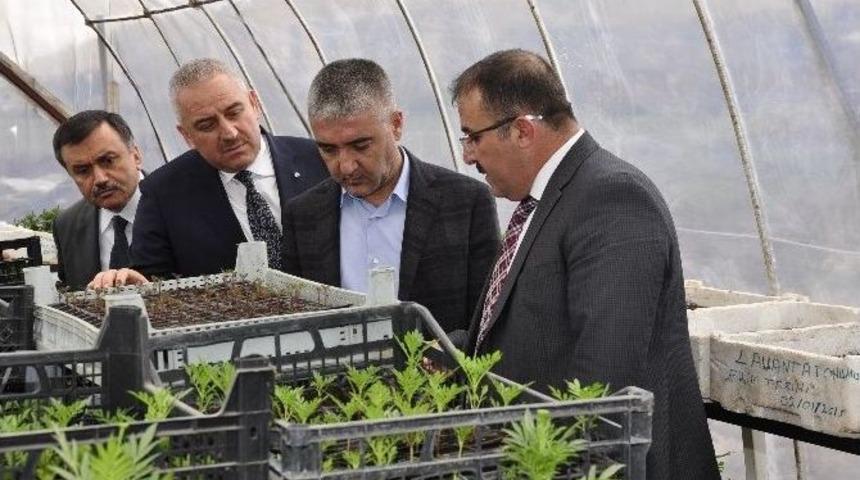 Cumhurbaşkanı Danışmanı Turan Afşin&rsquo;de