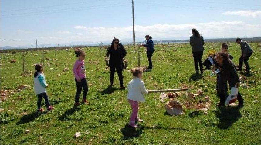 Didim&rsquo;de &Ouml;ğrenciler 75 Gen&ccedil;lik Hatıra Ormanına Fidan Dikti