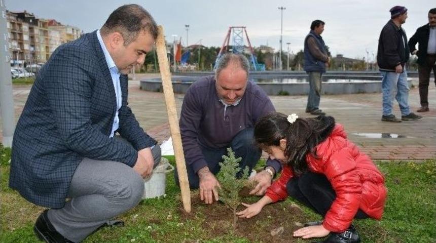 G&ouml;rele Belediyesi 6 Bin Fidanı Toprakla Buluşturdu