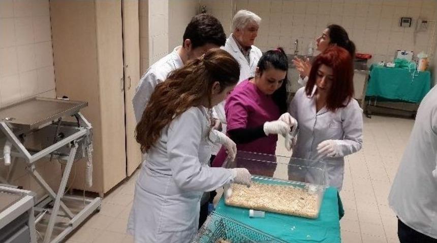 (&ouml;zel Haber) Bu Merkezde Deney Yapmak Kolay Değil