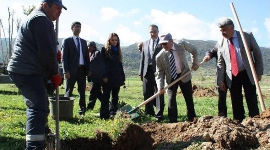 Fidanlar Toprakla Buluştu