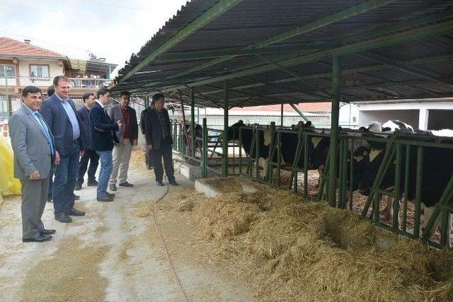 Bingöl Heyeti Burdur’da İncelemelerde Bulundu