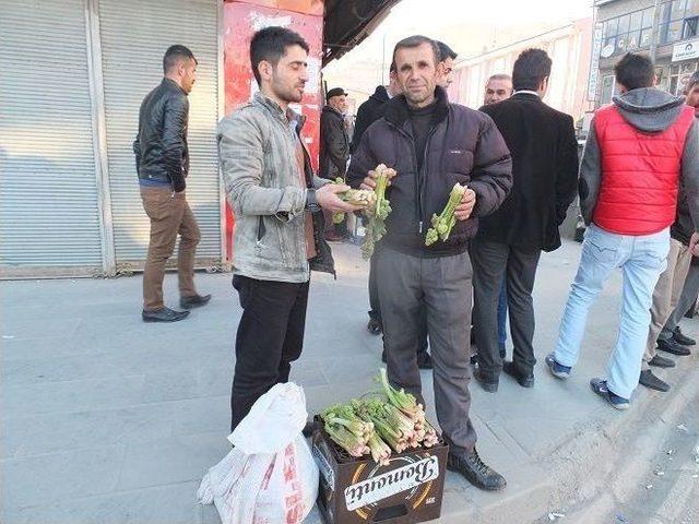 Uçkun Bitkisi İşsizlerin Geçim Kaynağı Oldu