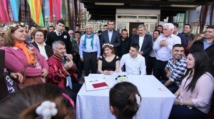 Buda Portakal &Ccedil;i&ccedil;eği Gelini