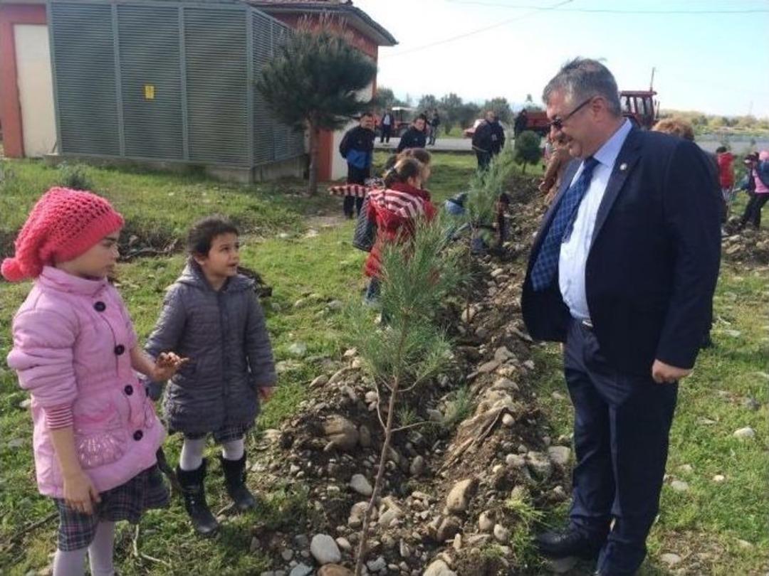 Edremit&rsquo;te Ağa&ccedil;landırma Devam Ediyor