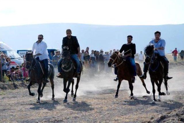 Rahvan Atı Irkının Korunması Için Damızlık Üretime Geçildi