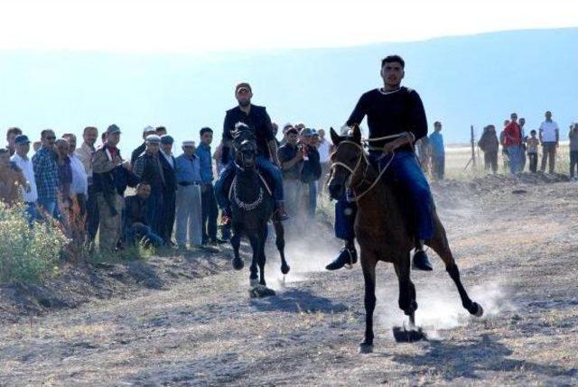 Rahvan Atı Irkının Korunması Için Damızlık Üretime Geçildi