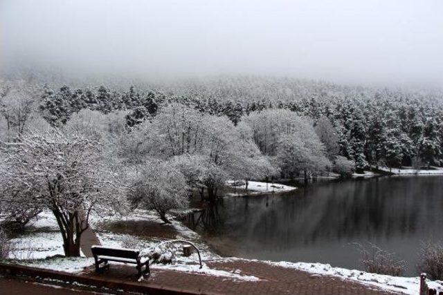 Gölcük Kartpostal Gibi