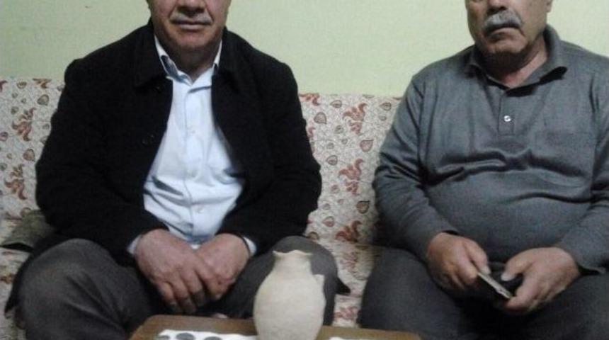 Oyun Oynayan &Ccedil;ocuk Evin Bah&ccedil;esinde Sikke Dolu Testi Buldu