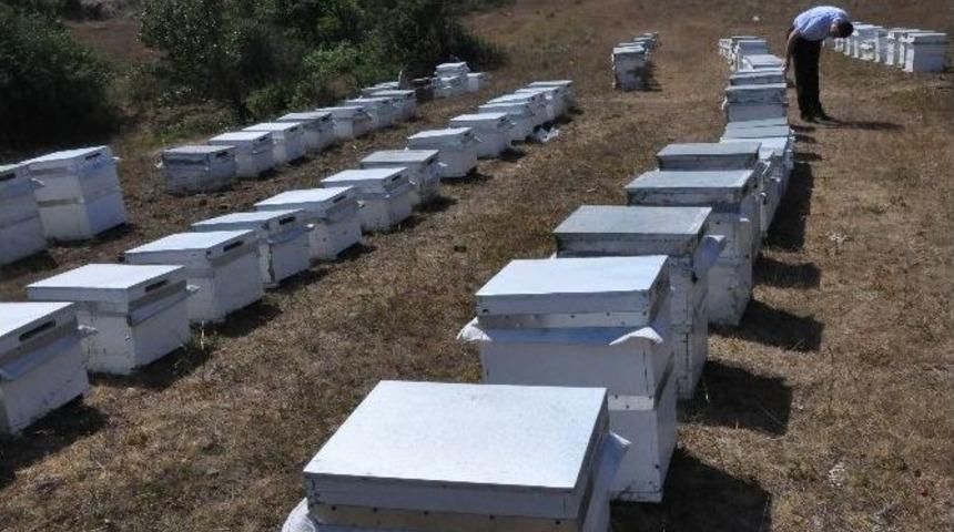 Arıcılara &rsquo;bahar&rsquo; Uyarısı