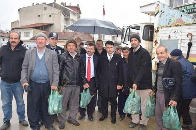 Pazarlar’da Ücretsiz 3 Bin Adet Fidan Dağıtıldı