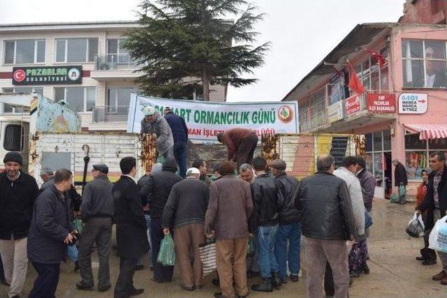 Pazarlar’da Ücretsiz 3 Bin Adet Fidan Dağıtıldı