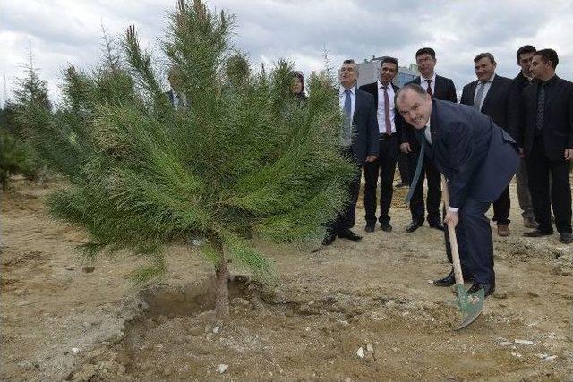 Denizli&rsquo;de Şehit Savcı İ&ccedil;in Fidan Dikildi 1