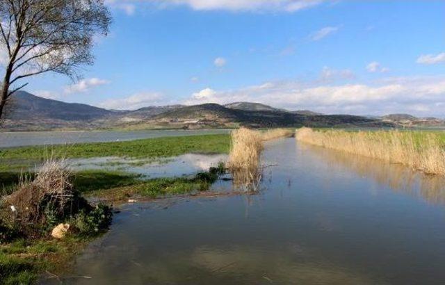 Kestel Ovası'nda Yapay Göl Oluştu