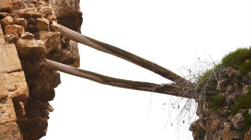 Silvan&rsquo;da Tarihi Eserlerin Bakımsızlığı Vatandaşların Tepkisine Neden Oldu