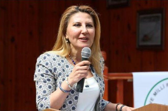 Tedavi Edilen Kaplumbağalar T&ouml;renle Denize Bırakıldı 1