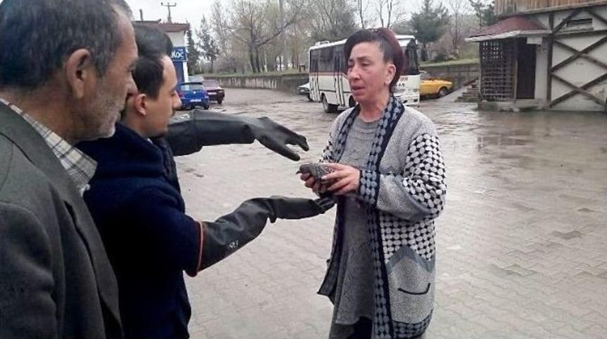 Bartın&rsquo;da G&uuml;vercin Kurtarma Operasyonu