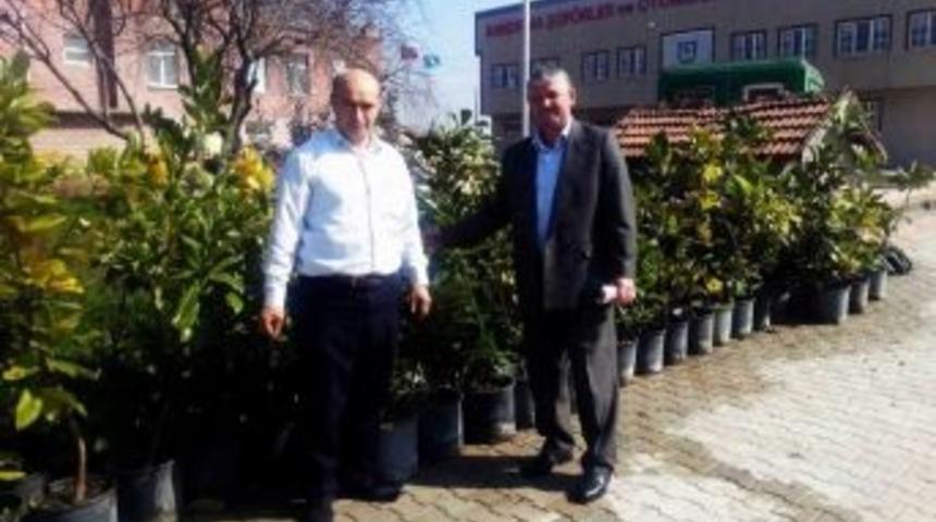 Bandırma&rsquo;daki Meslek Odasından Yeşile Destek