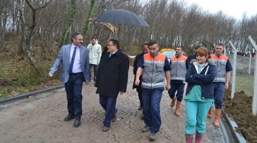 Kaymakam Atlamaz, B&uuml;y&uuml;kşehir Belediyesi Hayvan Barınağına &Ouml;vg&uuml; Yağdırdı