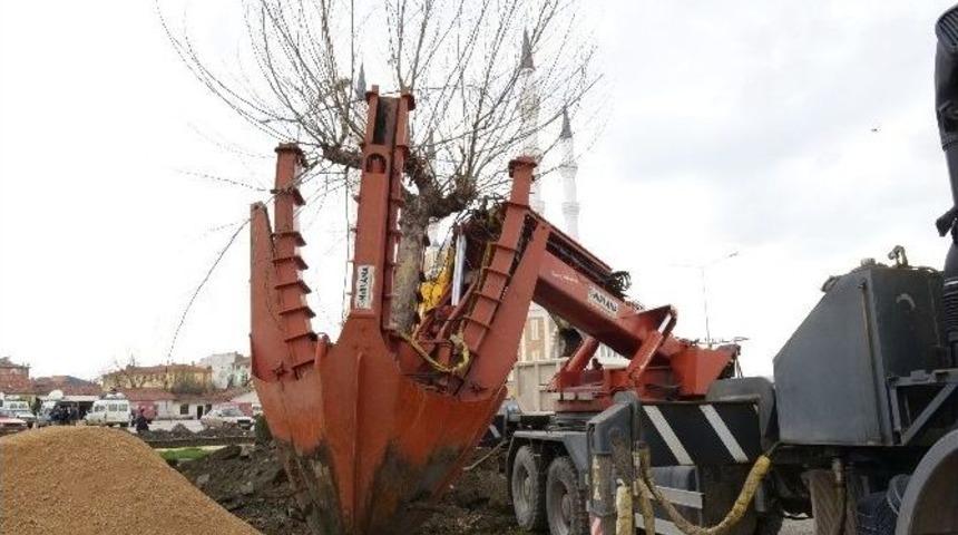&Ccedil;orum Belediyesi Asfalt Sezonu A&ccedil;ıldı