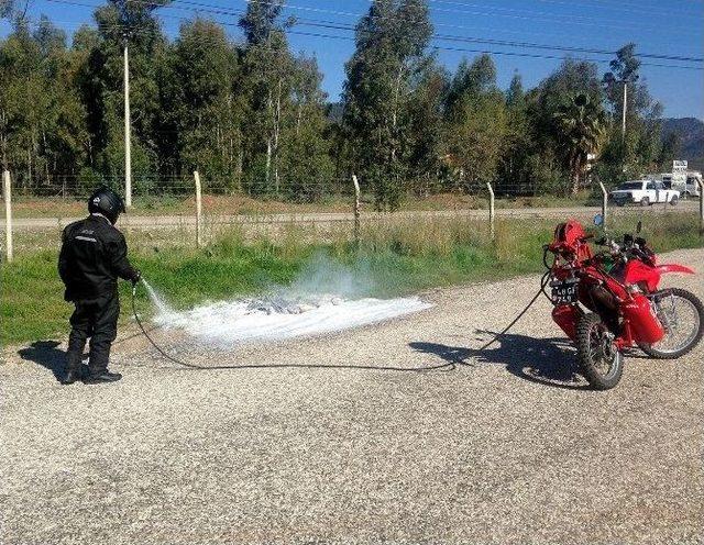 Sincaplar Da Alev Savaşçısı Oldu 1