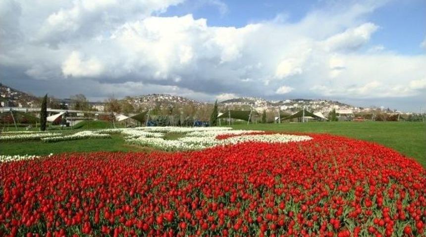 Lale Festivali, Pazar G&uuml;n&uuml; Sekapark&rsquo;ta