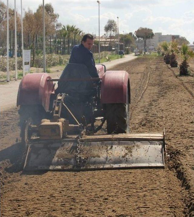 Başkan Soylu Traktör Başında Çalışmalara Katıldı