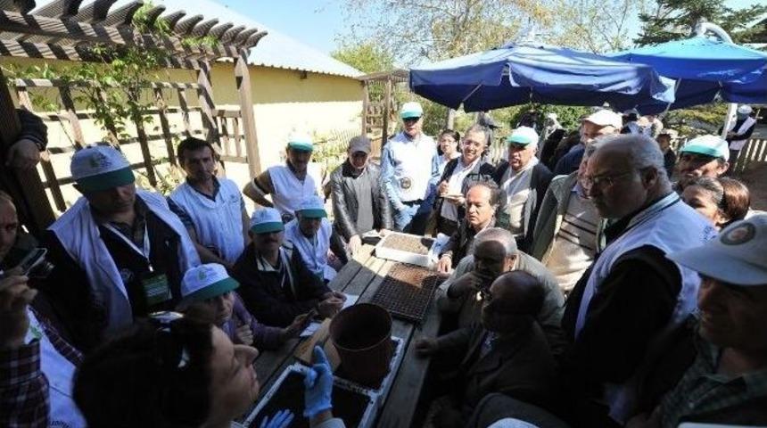 B&uuml;y&uuml;kşehir&rsquo;in Bah&ccedil;ıvanlık Kursunda Başvuru S&uuml;resi Uzatıldı