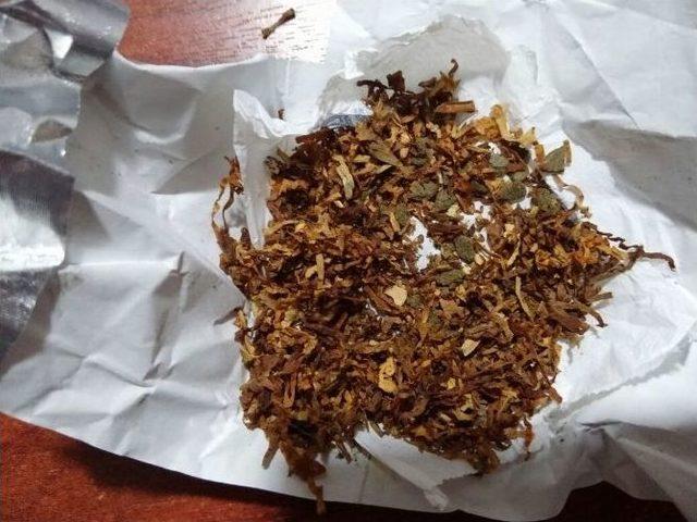 Manavgat Jandarmadan Uyuşturucu Operasyonu 1