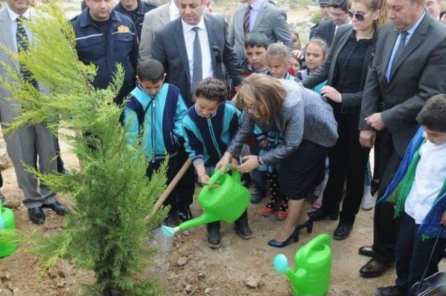 Gaziantep’Te Itfaiye Erleri Fidan Dikti