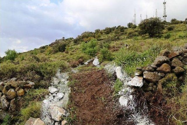 Bodrum Belediyesi Tarihine Sahip Çıkıyor 1