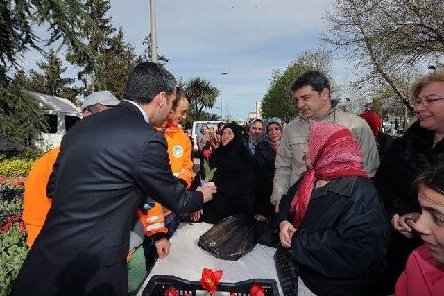 Geleneksel Lale Dağıtım Töreni Akm Önünde Gerçekleştirildi