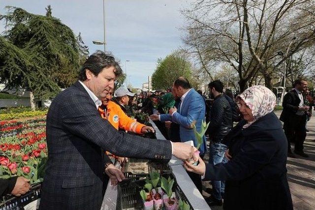 Geleneksel Lale Dağıtım Töreni Akm Önünde Gerçekleştirildi