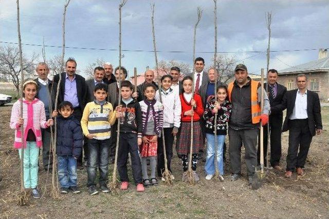 Iğdır Belediyesi’nden Fidan Dikimi