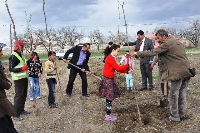 Iğdır Belediyesi’nden Fidan Dikimi