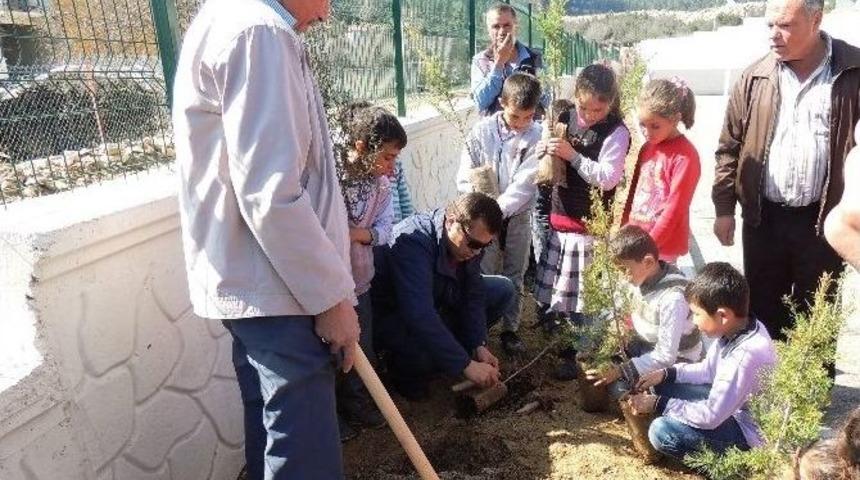 Öğrenciler Okul Bahçesinde 250 Fidanı Toprakla Buluşturdu