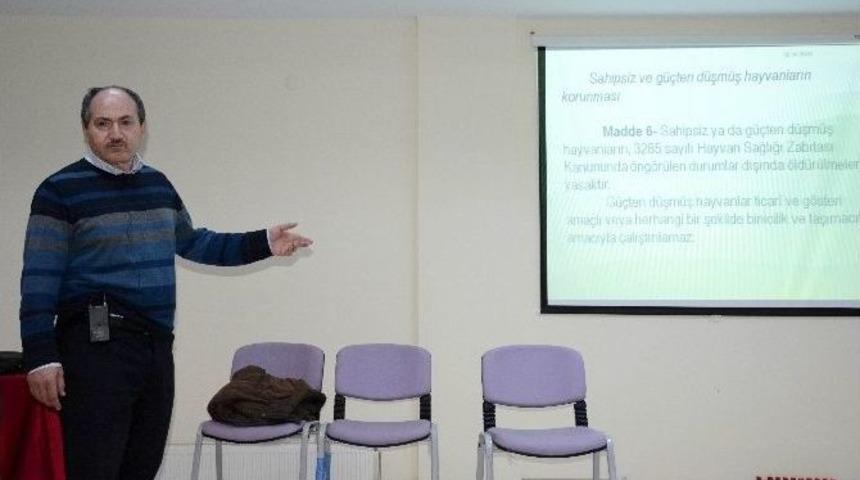 Belediyeden Hayvan Severlere Eğitim Semineri