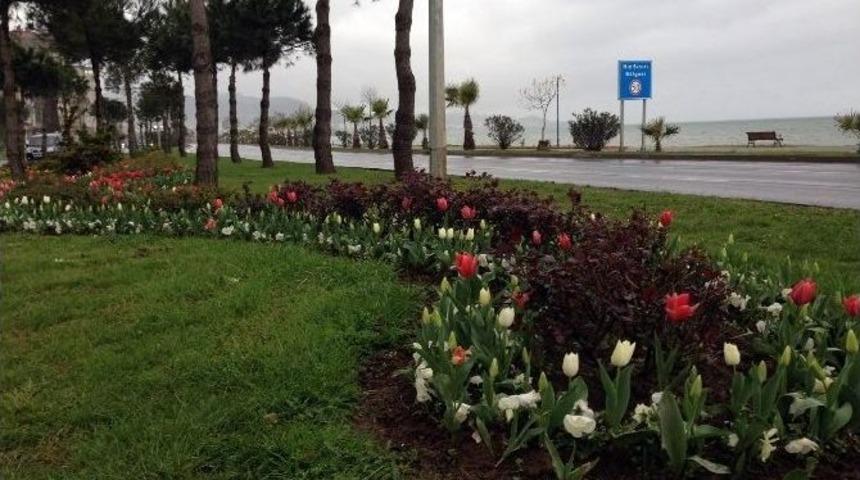 Ordu&rsquo;da Yollar &Ccedil;i&ccedil;eklendi