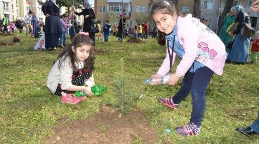 Kartepe&rsquo;nin Minik Elleri Ağa&ccedil; Dikti