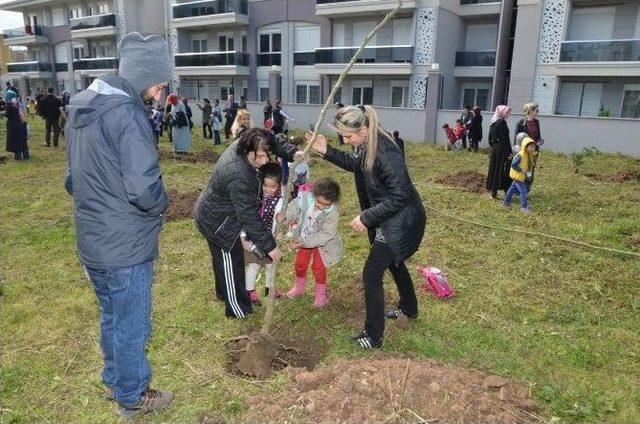 Kartepe’nin Minik Elleri Ağaç Dikti