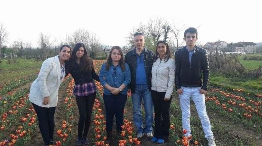 &Ccedil;aycuma&rsquo;daki Lale Bah&ccedil;esine B&uuml;y&uuml;k İlgi