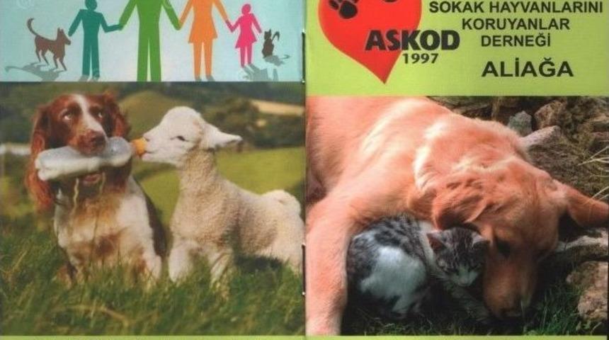 Askod&rsquo;tan &Ouml;rnek Proje