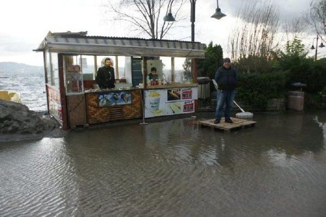 Sapanca G&ouml;l&uuml; Iyice Coştu 2