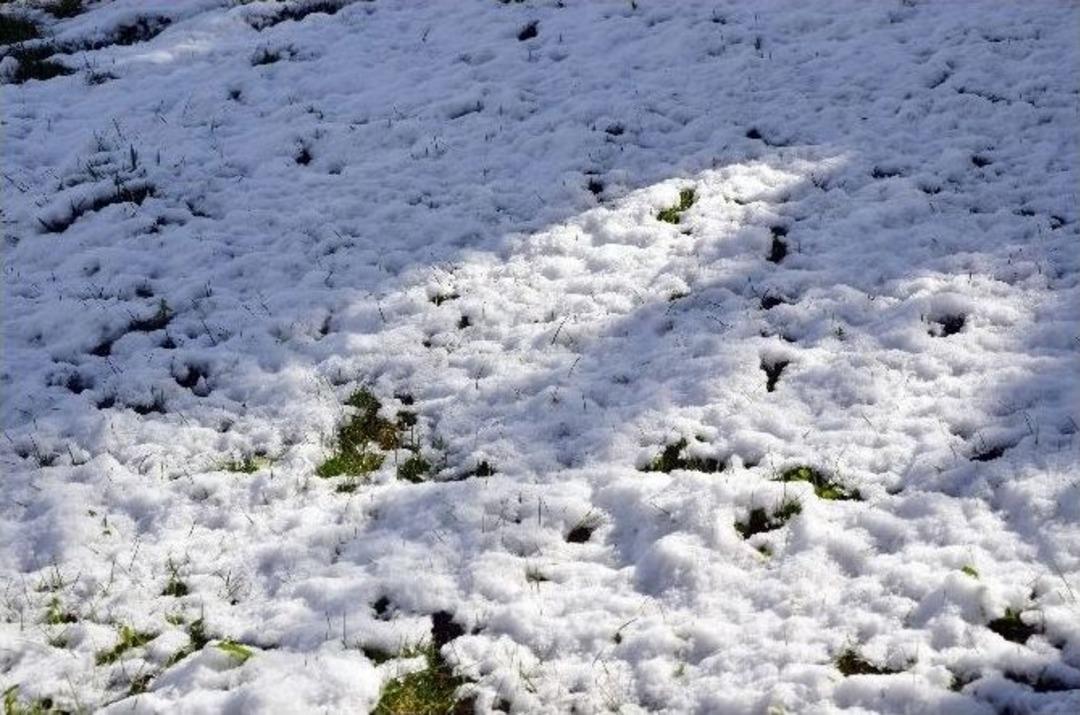 Nisan Ayında Kar S&uuml;rprizi