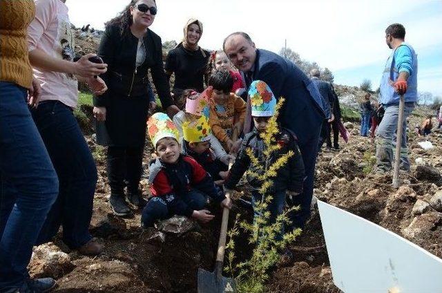 Denizli’de Öğrenciler Fidan Dikti