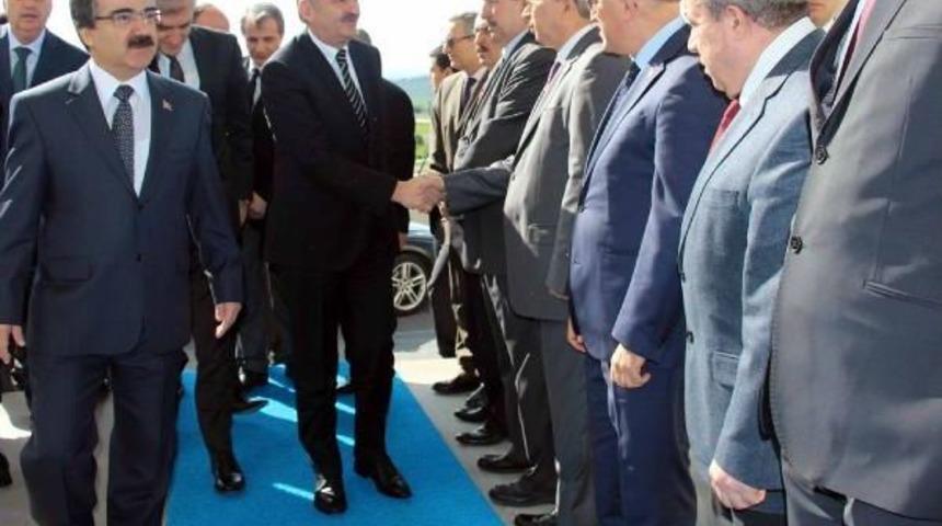 M&uuml;ezzinoğlu: Domuz Gribi 2 Hafta I&ccedil;inde G&uuml;ndemden Kalkacak