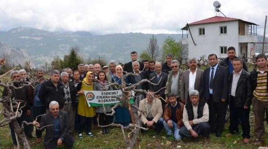 Erdemlili &Ccedil;ift&ccedil;ilere Meyvecilik Eğitimi